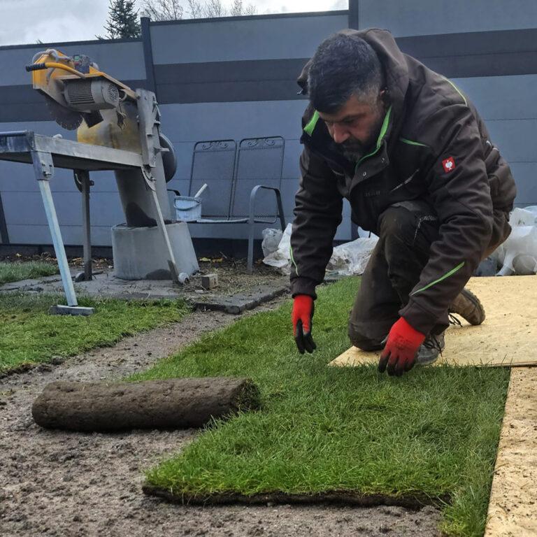 Rollrasen wird Bahn für Bahn verlegt